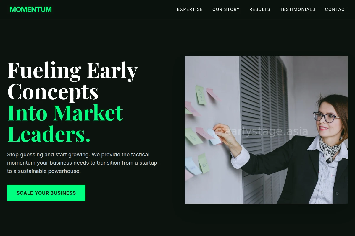 Momentum Business Coach